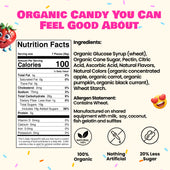 Silly Sours Original - Organic Sour Gummy Candy